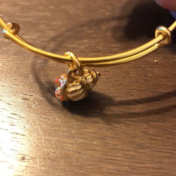 NWOT Alex and Ani Charity by Design Hermit Crab - Picture 5 of 7